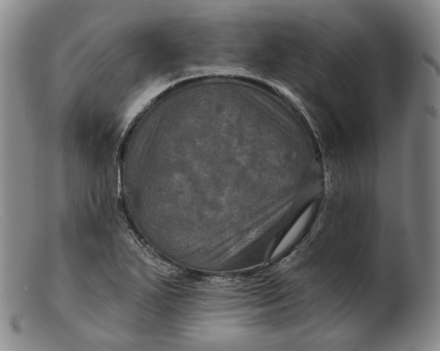 X0000099451271200805231733