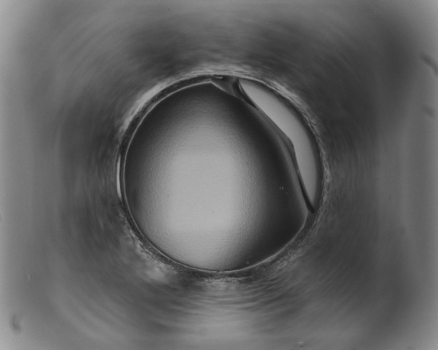 X0000099451272200805231733