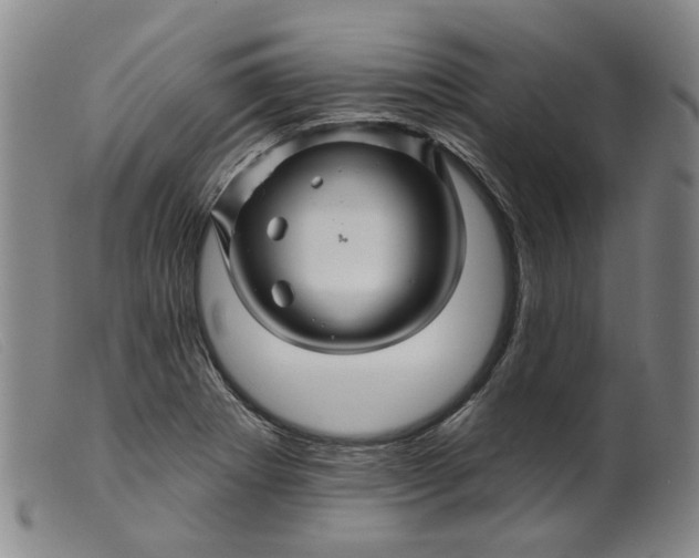 X0000099451273200805231733