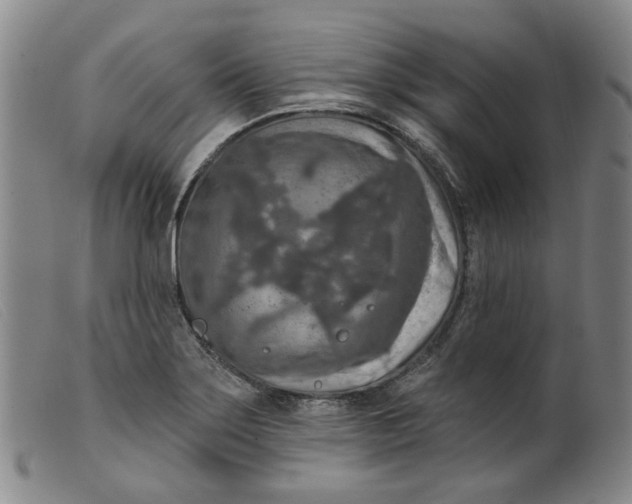 X0000099451275200805231732