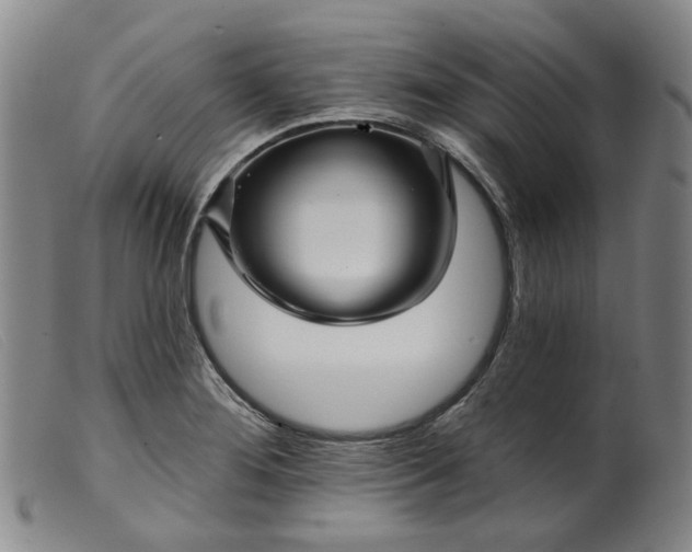 X0000099451276200805231732