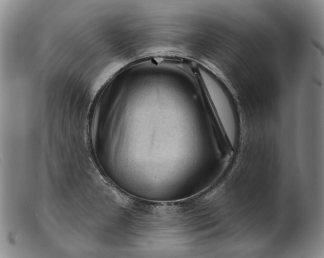 X0000099451277200805231732