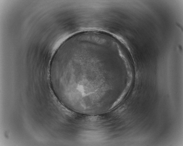 X0000099451279200805231732