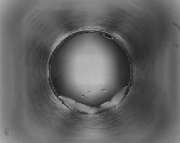 X0000099451280200805231732