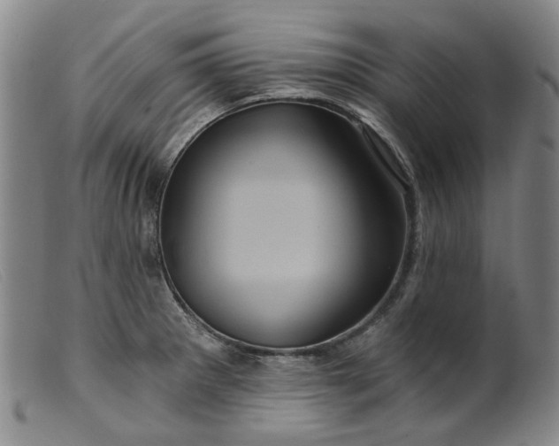 X0000099451281200805231732