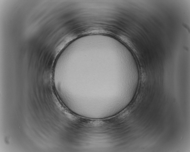 X0000099451282200805231732