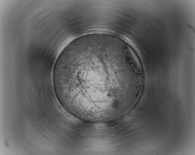 X0000099451283200805231732