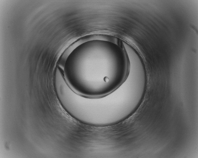 X0000099451284200805231732