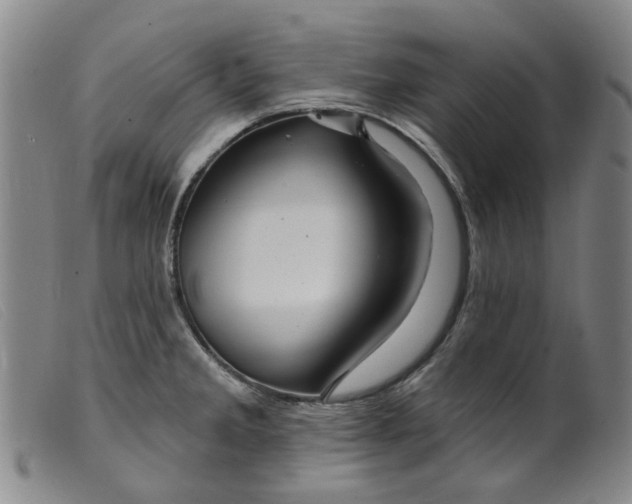 X0000099451285200805231732