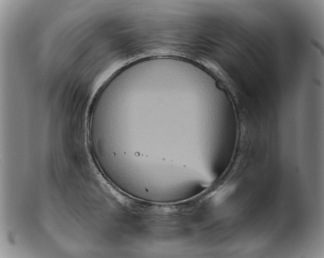 X0000099451286200805231732