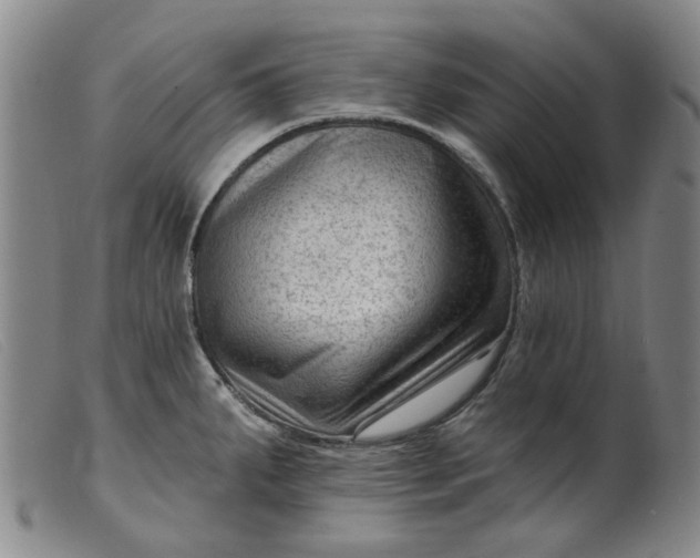 X0000099451287200805231732