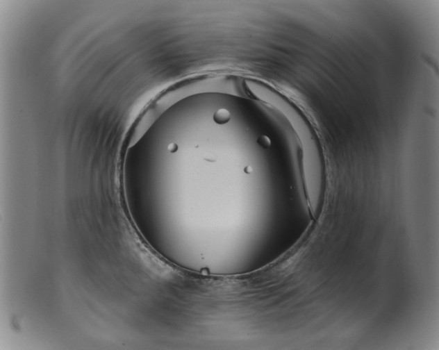 X0000099451288200805231732