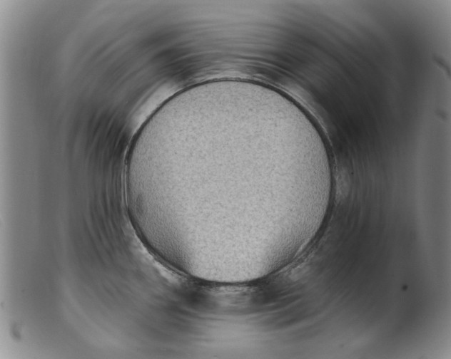 X0000099451290200805231732