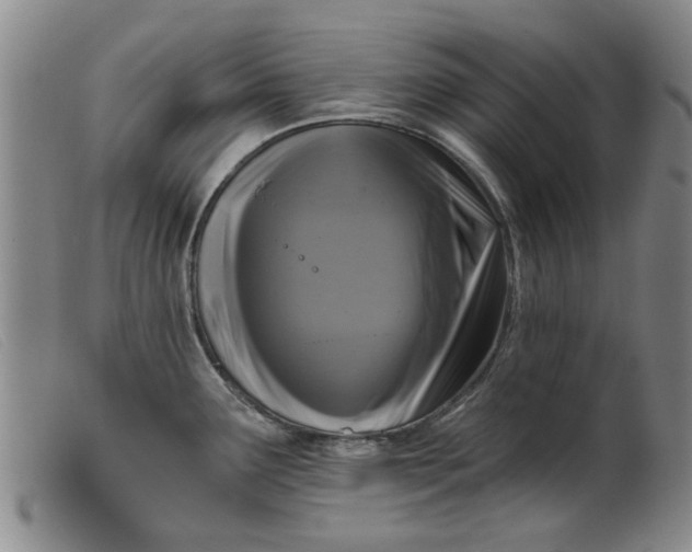 X0000099451291200805231732