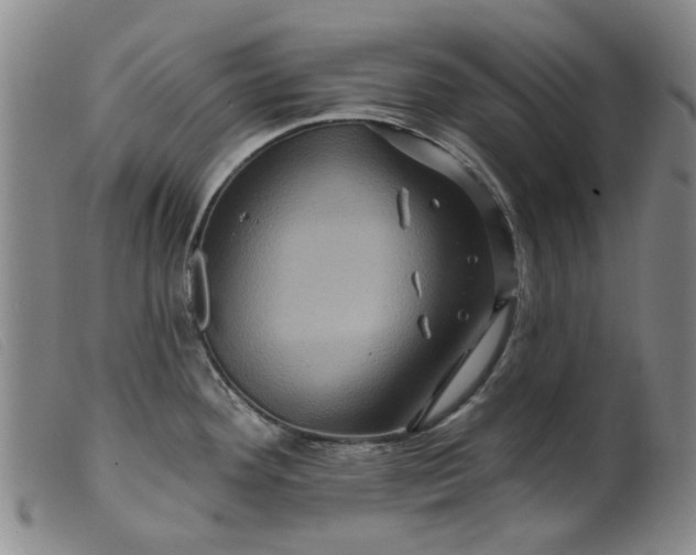 X0000099451292200805231732