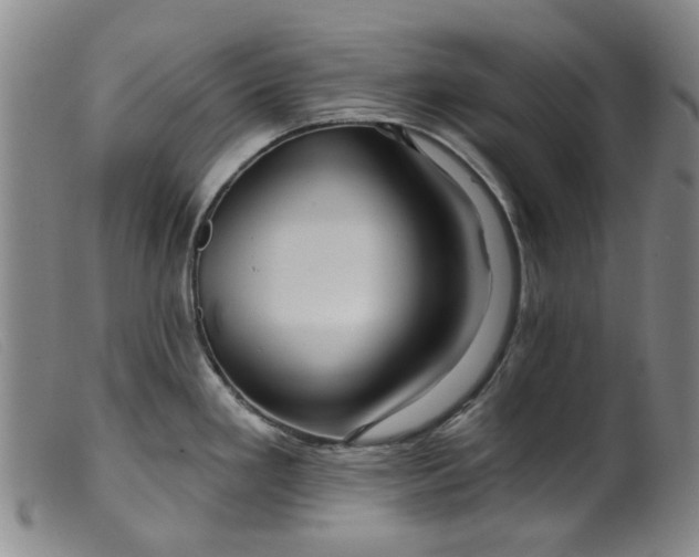 X0000099451293200805231732