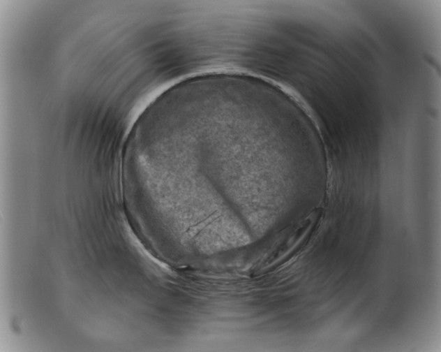 X0000099451295200805231732