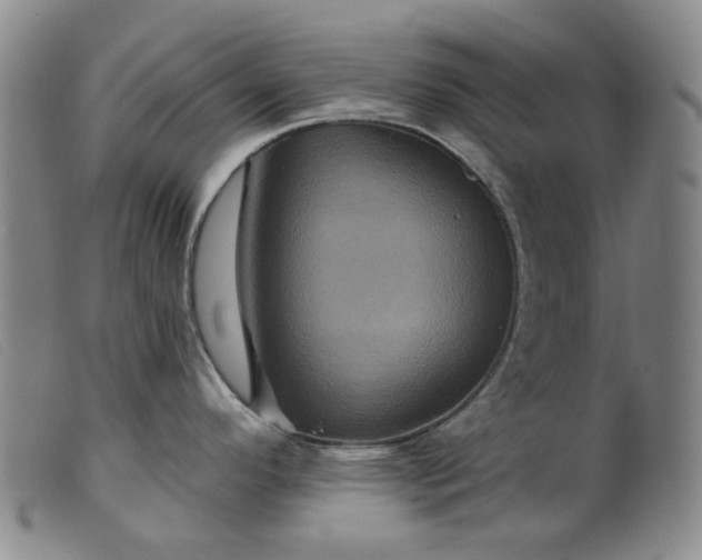 X0000099451296200805231732