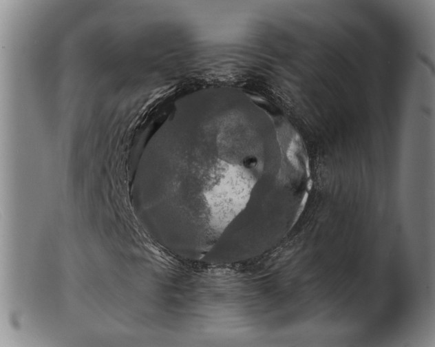 X0000099451297200805231731