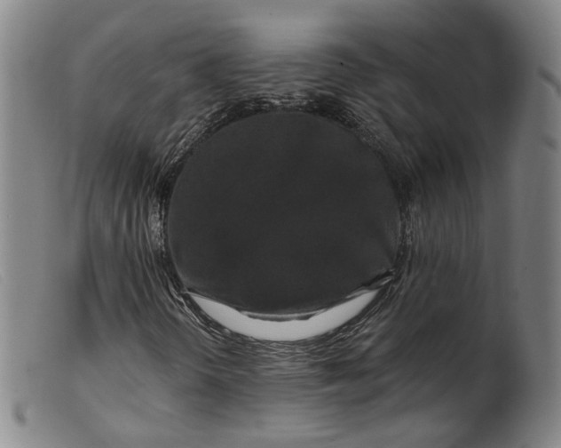 X0000099451298200805231731