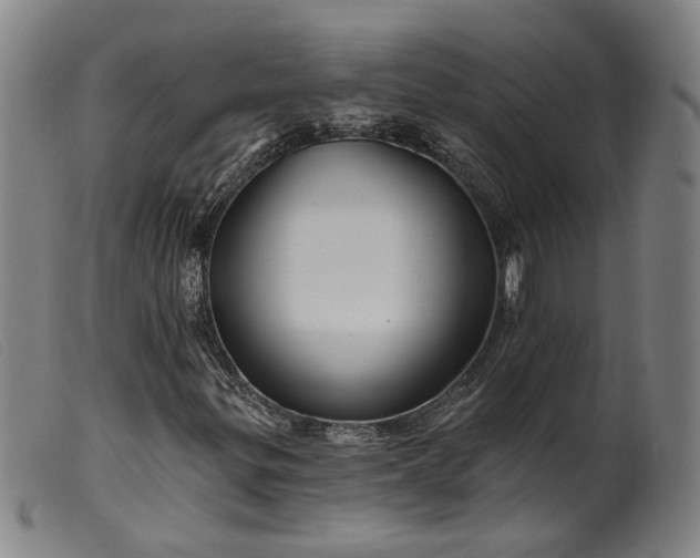 X0000099451299200805231731