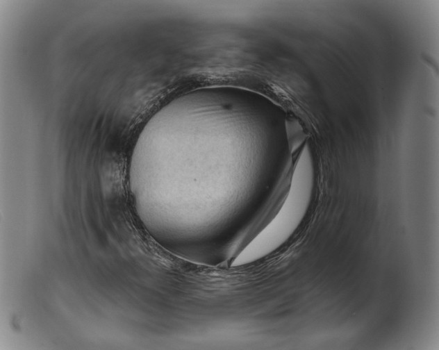 X0000099451300200805231731