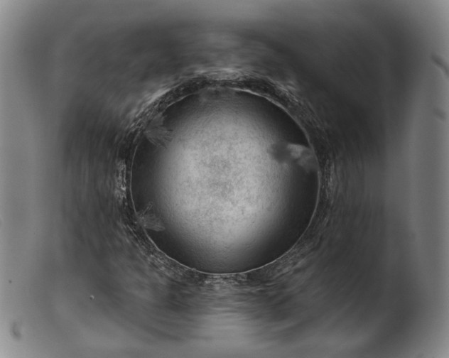 X0000099451301200805231731