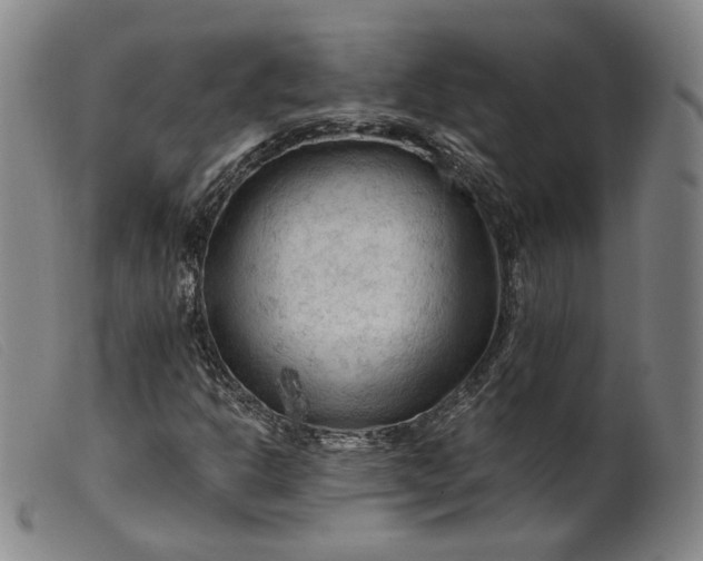 X0000099451302200805231731