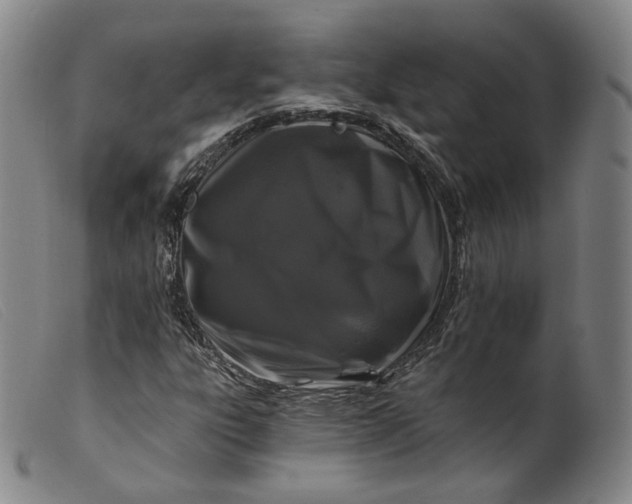 X0000099451303200805231731