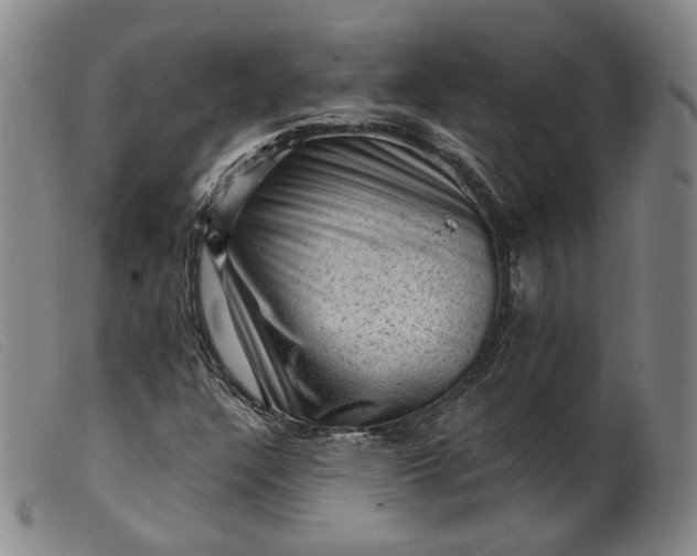 X0000099451304200805231731