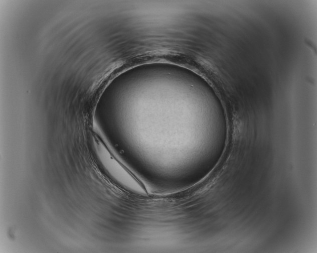 X0000099451305200805231731