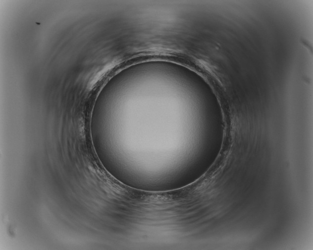 X0000099451307200805231731