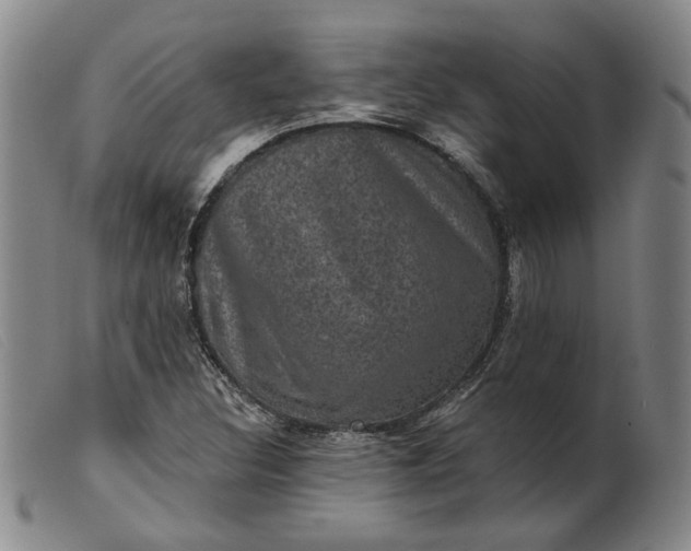 X0000099451308200805231731