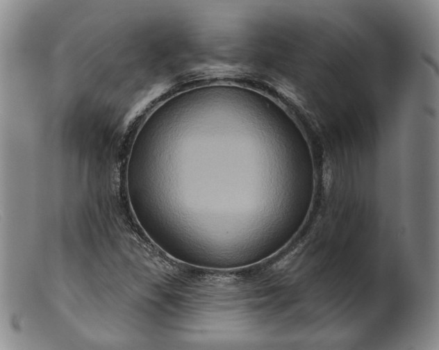 X0000099451309200805231732