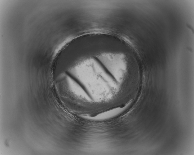 X0000099451310200805231732