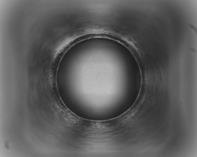 X0000099451311200805231732