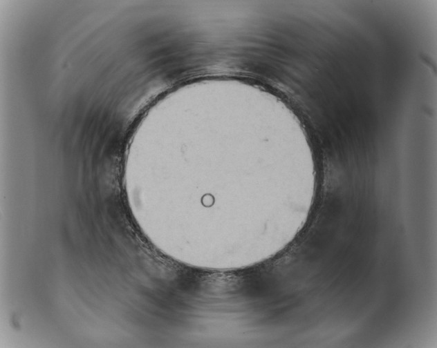 X0000099451314200805231732