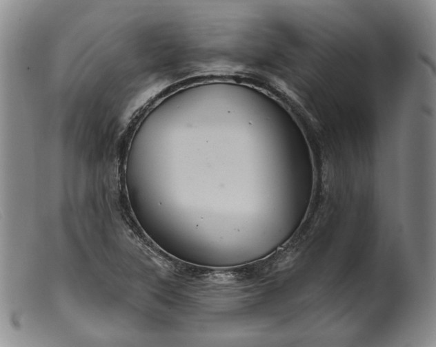 X0000099451315200805231732