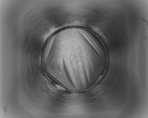 X0000099451316200805231732