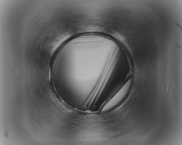 X0000099451317200805231732