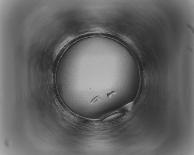 X0000099451318200805231732