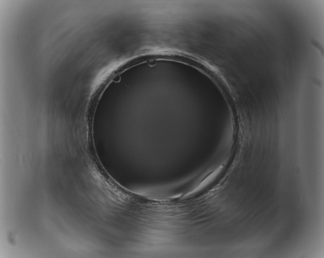 X0000099451319200805231732