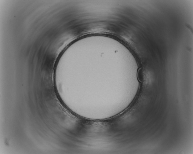 X0000099451322200805231732