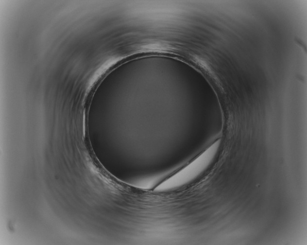 X0000099451323200805231732