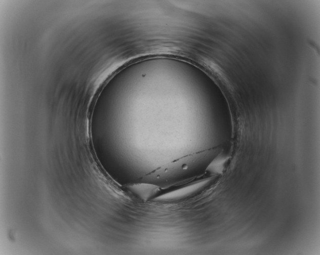 X0000099451324200805231732