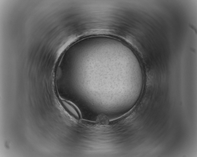 X0000099451325200805231732