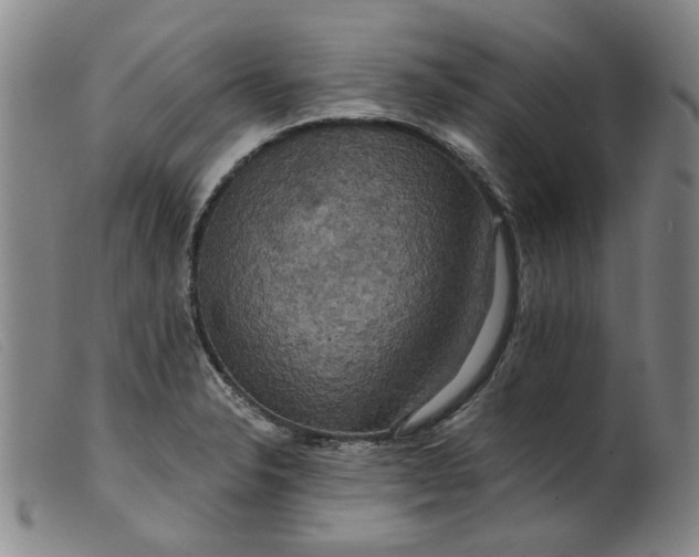 X0000099451326200805231732