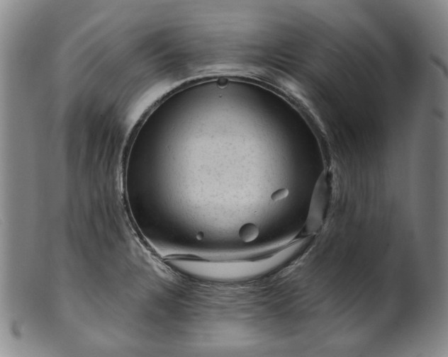 X0000099451328200805231732