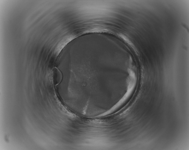 X0000099451329200805231732