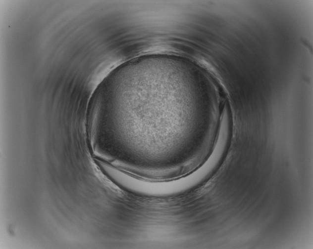 X0000099451330200805231732